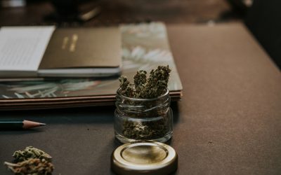 How do I proceed legally to establish a “Cannabis Club” and what requirements must I fulfill?